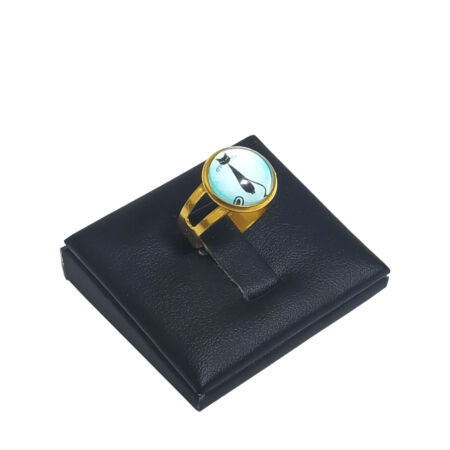 Fekete-cica-üveglencsés-gyűrű-választható-arany-és-ezüst-színben