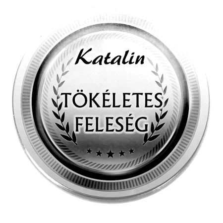 Acél-tökéletes-feleség-kitűző